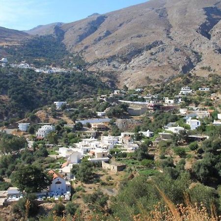 Oasis Studios Ροδάκινο Εξωτερικό φωτογραφία