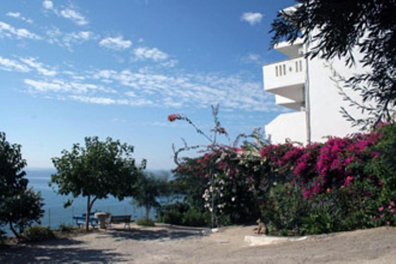 Oasis Studios Ροδάκινο Εξωτερικό φωτογραφία