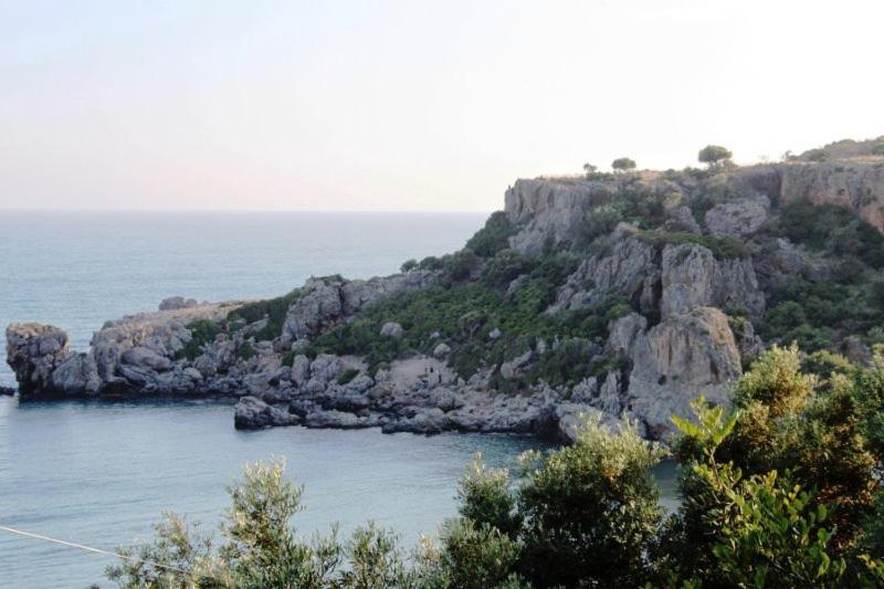 Oasis Studios Ροδάκινο Εξωτερικό φωτογραφία